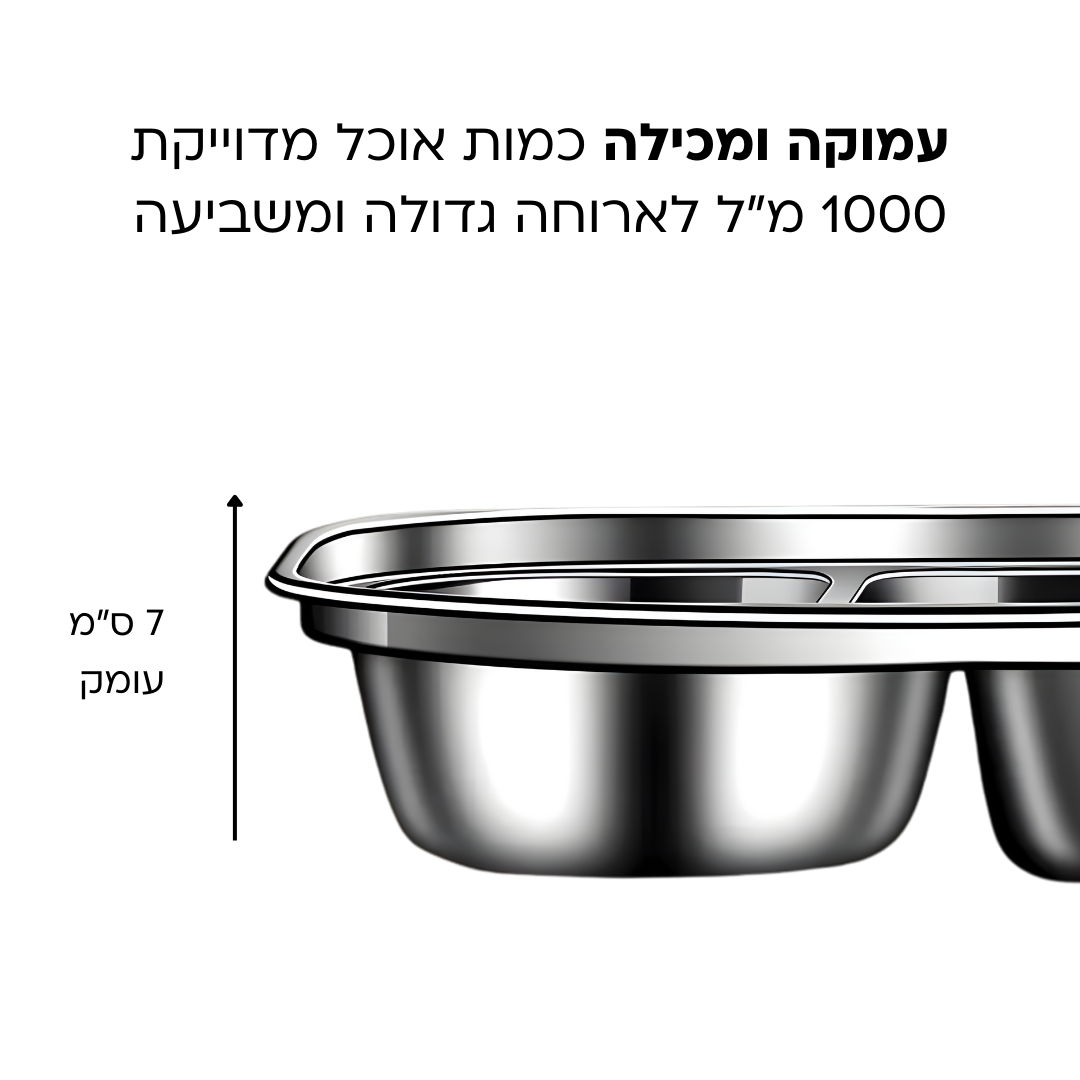 FitLunch - קופסת אוכל מלבנית נירוסטה  עם תיק נשיאה תואם